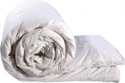 Олекотена завивка  Aloe Vera