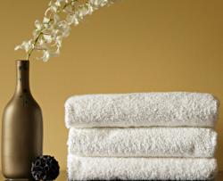 Хавлия Дух 50х90