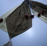 тишлайфери